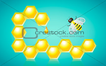 Honeycombs Honey Drop and Bee Vector Illustration