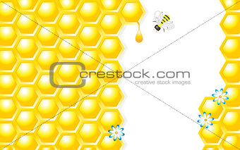 Honey Design Vector Illustration