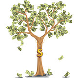 money tree with dollars