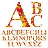 Font made with leaves, floral alphabet letters set, vector desig