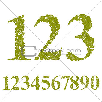 Numbers made with leaves, floral numerals set, vector illustrati