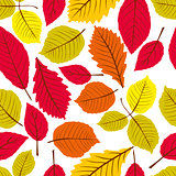 Leaves seamless wallpaper background, vector natural endless pat