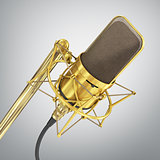 Gold Microphone. Speaker concept.