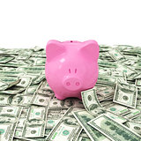 Money dollar dollars business money box pig credit bank savings