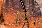 Beaver Creek Style Petrogylphs