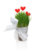 Pot with grass and paper hearts