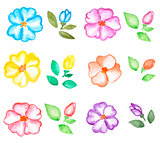 Set of watercolor flowers