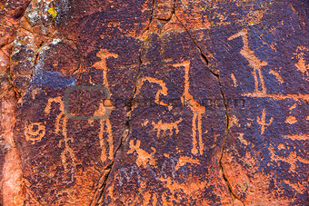 Petroglyph Birds and Other Symbols