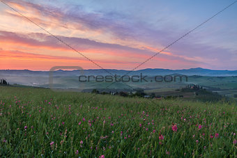 Val d'Orcia after sunrise with violet sky, Tuscany, Italy