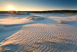 sunrise over sand dunes