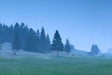 misty snowy morning on alpine meadows