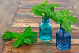 Fresh mint  in blue vase on wooden table with copy space