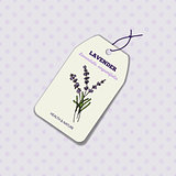 Health and Nature Collection. Lavender