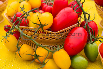 Red and yellow tomatoes