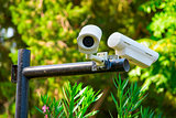Two surveillance cameras in city park