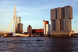 Rotterdam skyline with Erasmus Bridge
