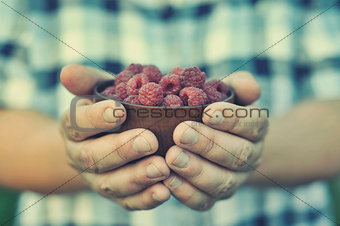 Raspberry in palm