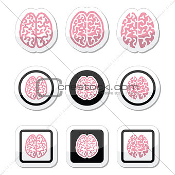 Human brain icons set - intelligence, creativity concept