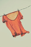 T-shirt to dry on a clothesline
