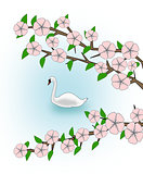 Flowering and Swan
