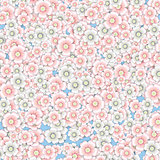 Background of pink and white cherry blossoms.