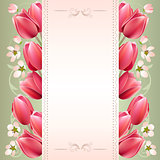 Romantic spring background with tulips