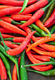 Red and green hot chili pepper