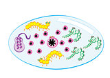 waterborne disease microbe