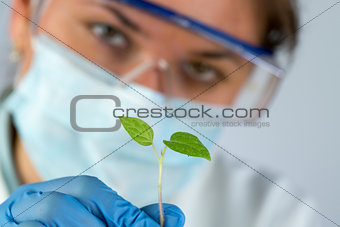 scientist and green plant