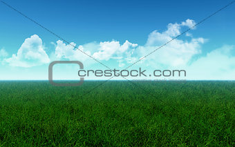Grassy field