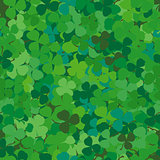 Seamless pattern with clovers