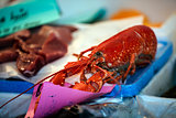 Scottish Lobster