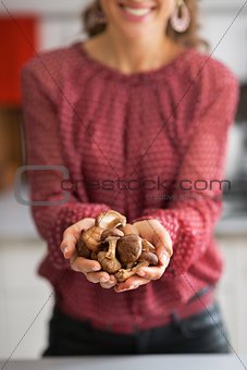 Closeup on young housewife showing shiitake mushrooms
