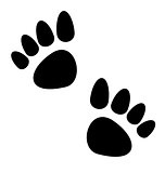 Black animal paws print isolated on white background