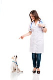 Beautiful young veterinary pointing to a a cute puppy labrador d