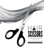 Hair and scissors on a white background