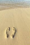One pair footstep on the beach