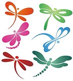 Butterfly(dragonfly ) logo design