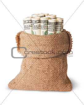 Vertical money in the bag