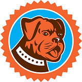 Bulldog Dog Mongrel Head Mascot Rosette