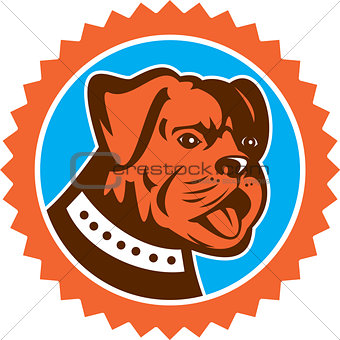 Bulldog Dog Mongrel Head Mascot Rosette