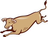 Bull Cow Jumping Cartoon