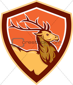 Deer Stag Buck Head Shield Retro