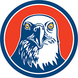 American Bald Eagle Head Circle Retro