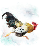 Rooster Running