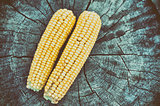 Corn cob 