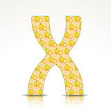 The letter X of the alphabet made of Ximenia