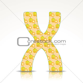 The letter X of the alphabet made of Ximenia