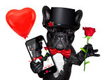 valentines selfie dog 