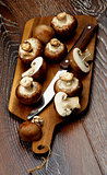 Portabello Mushroom